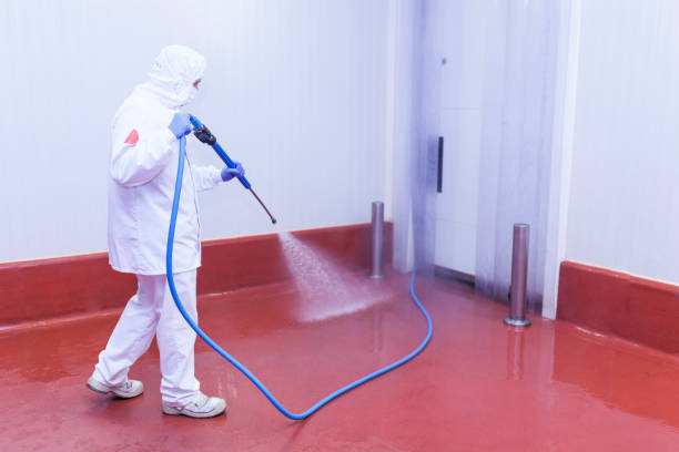 Professional Pressure Washing Services in Saunders Lake, OR
